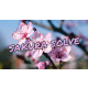 SAKURA SOLVE by Cyril Hubert and JJ Team video DOWNLOAD