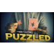 Puzzled by Tybbe Master video DOWNLOAD