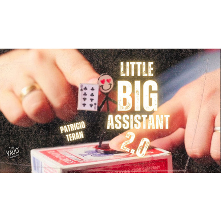 The Vault - Little Big Assistant 2 by Patricio Teran video DOWNLOAD