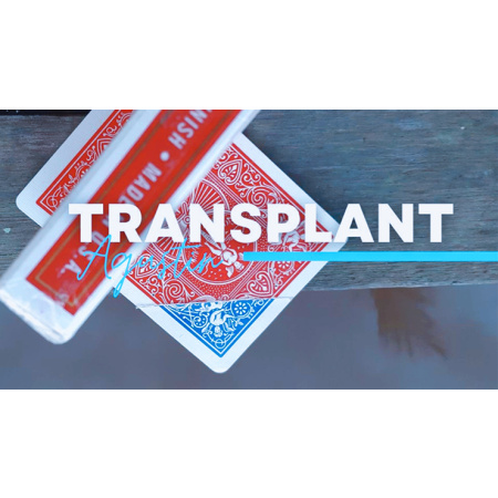 Transplant by Agustin video DOWNLOAD