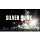 The Vault - Silver Blink by Sultan Orazaly video DOWNLOAD