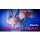 Healed Tear by Zoens video DOWNLOAD