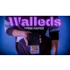 Walleds by Tybbe Master video DOWNLOAD