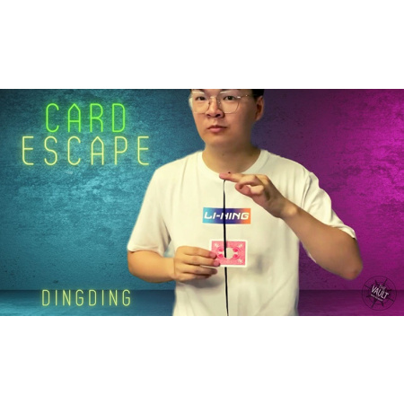 The Vault - Card Escape by Dingding video DOWNLOAD