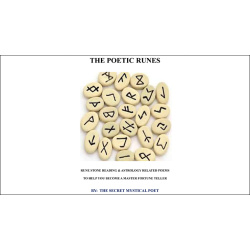 THE POETIC RUNES RUNE STONE READING & ASTROLOGY...