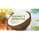 Coconuts Pepegyver by Jose Cruz GonzÃ¡lez video DOWNLOAD