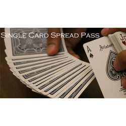 Magic Encarta Presents Single Card Spread Pass by Vivek...