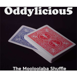 The Oddyliciou5 Package by The Mooloolaba Shuffle video...