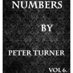 Numbers (Vol 6) by Peter Turner eBook DOWNLOAD