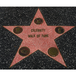Celebrity Walk of Fame by Jonathan Royle - Video/Book...