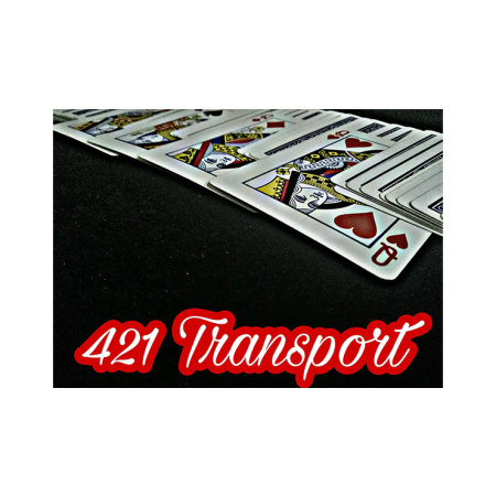 421 Transport by David Luu video DOWNLOAD