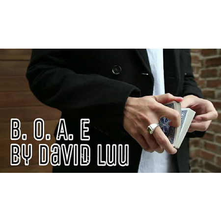 Blink Of An Eye by David Luu video DOWNLOAD