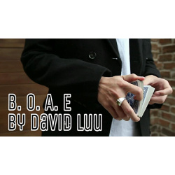 Blink Of An Eye by David Luu video DOWNLOAD