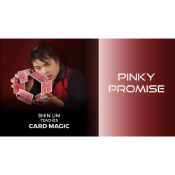 Pinky Promise 1 and 2 by Shin Lim (Single Trick) video...