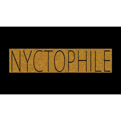 NyctoPHile by PH Ontheroof and Nonplus Productions video...