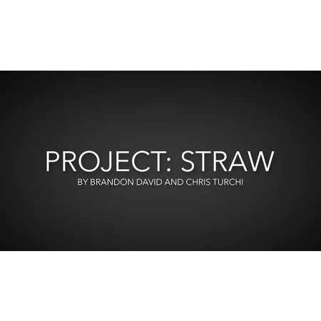 Project Straw by Brandon David & Chris Turchi video DOWNLOAD