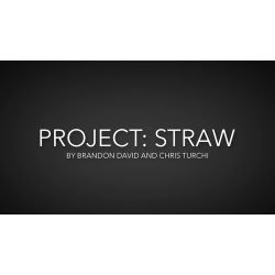 Project Straw by Brandon David & Chris Turchi video...