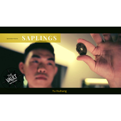 The Vault - Skymember Presents Saplings by Yu Huihang...