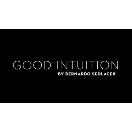 Good Intuition by Bernardo Sedlacek video DOWNLOAD