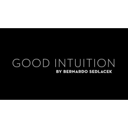 Good Intuition by Bernardo Sedlacek video DOWNLOAD