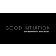 Good Intuition by Bernardo Sedlacek video DOWNLOAD