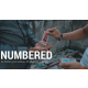 Numbered by Parlin Lay video DOWNLOAD