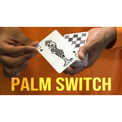 Magic Encarta Presents Palm Switch & Palm Control by...