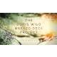 The Vault - Boris Wild Marked Deck Project by Boris Wild video DOWNLOAD