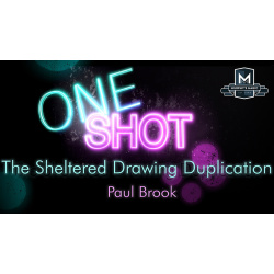 MMS ONE SHOT - The Sheltered Drawing Duplication by Paul...