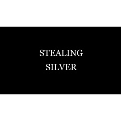 Stealing Silver by Damien Fisher video DOWNLOAD