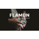 FLAMON by Ade Rahmat video DOWNLOAD