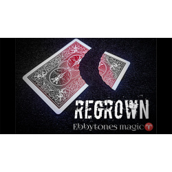 Regrown by Ebbytones video DOWNLOAD