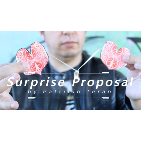 Surprise Proposal by Patricio Teran video DOWNLOAD