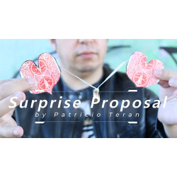 Surprise Proposal by Patricio Teran video DOWNLOAD