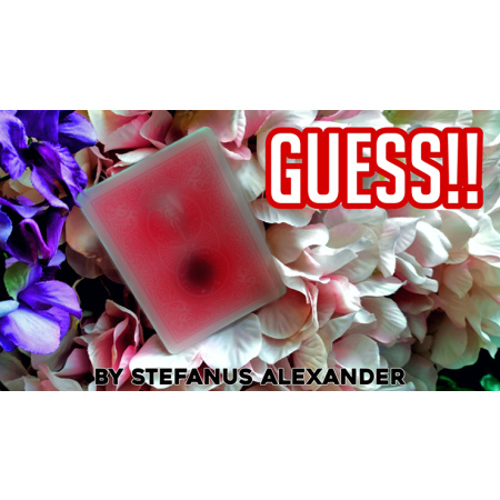 GUESS by Stefanus Alexander video DOWNLOAD