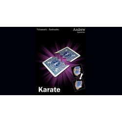 Karate by Andrew video DOWNLOAD
